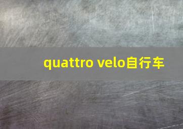 quattro velo自行车